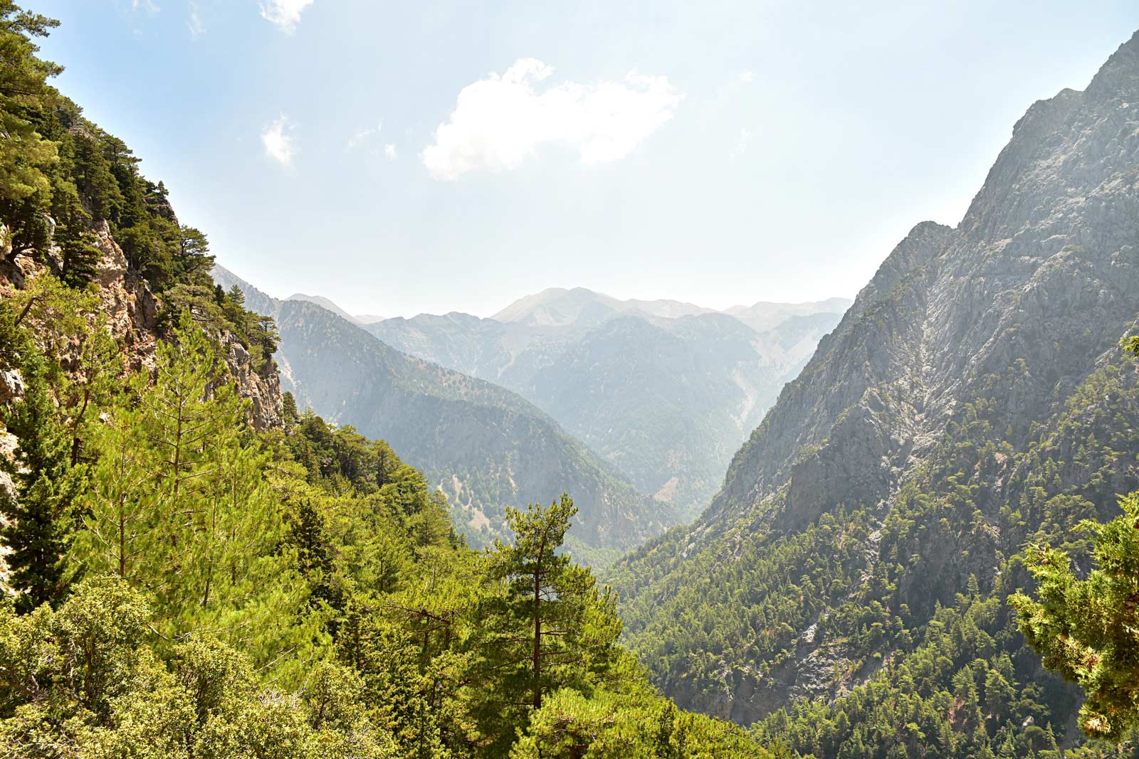 View from a Gorge